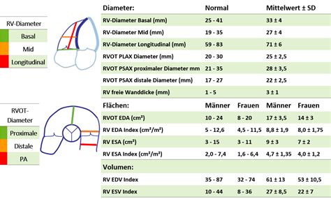 normwerte echocardiogram.